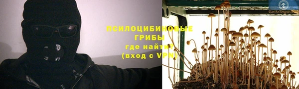 твердый Алексин