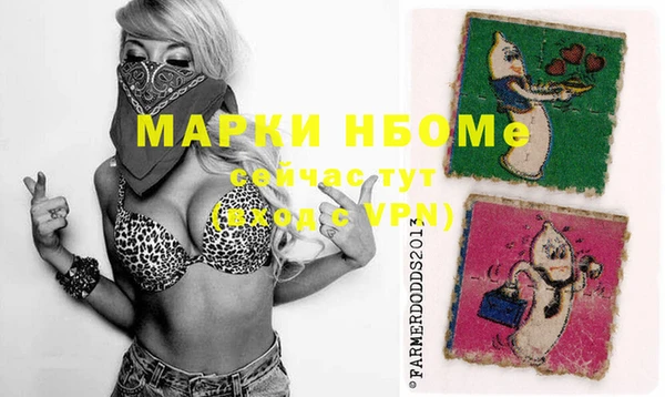 стаф Алексеевка