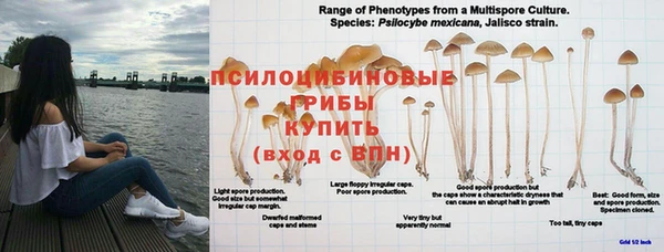 скорость mdpv Алзамай
