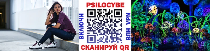 купить Аргун Псилоцибиновые грибы прущие грибы